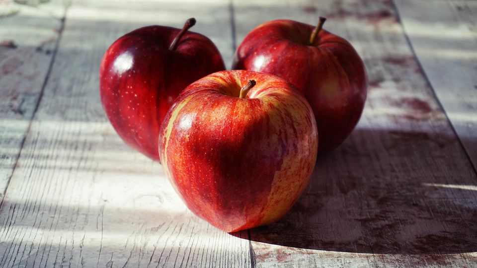 Apples food storage guide