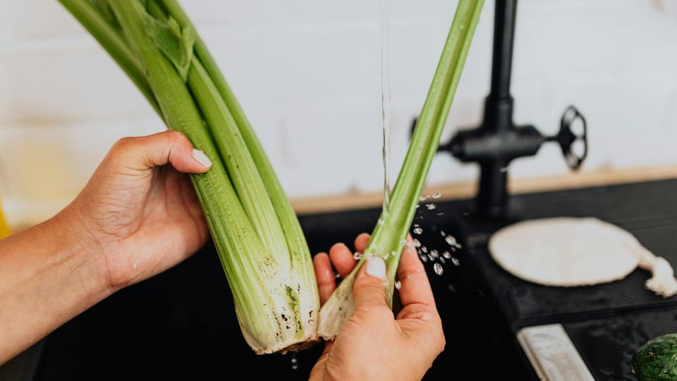 Celery food storage guide